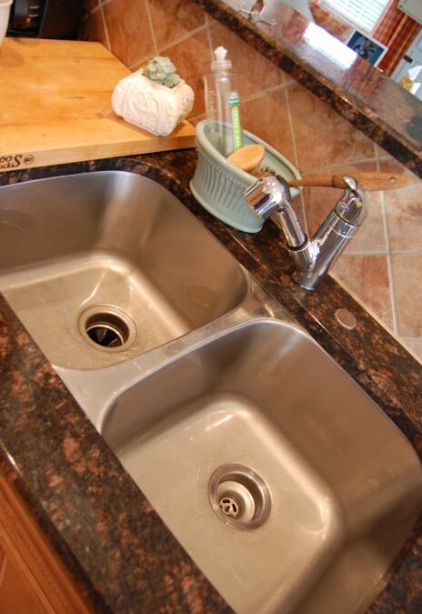 Get Your Nest On :: Shine Your Sink