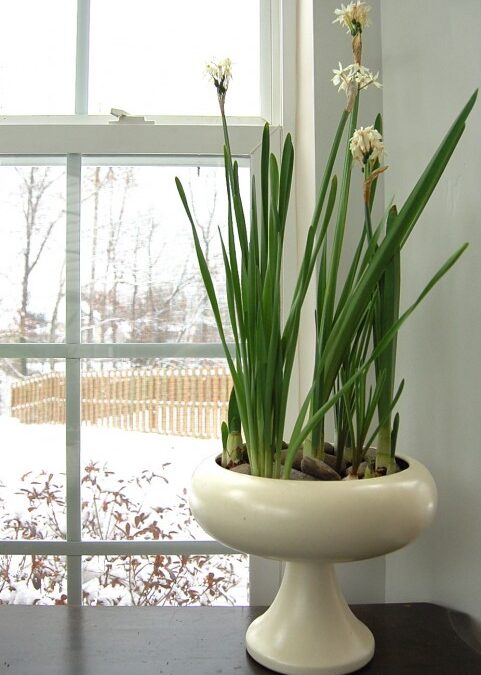 Winterize Your Home the Fun Way