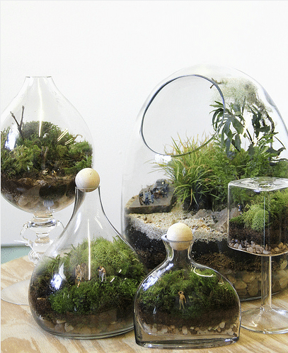 Using Plants Your Home Part 4 :: Terrariums - Nesting Place