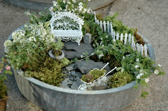 5 Fairy Gardens, What Plants Are Good For A Fairy Garden
