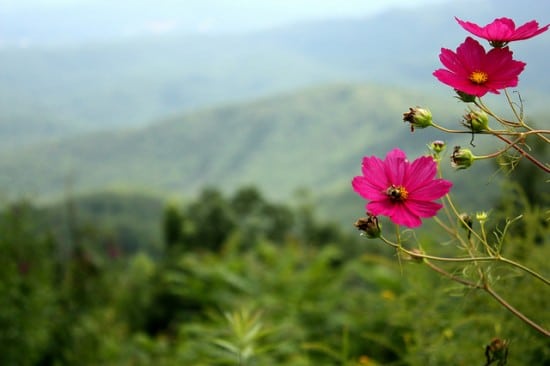 7770267210_f324c49fa9_z