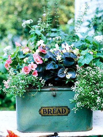 bread box container garden