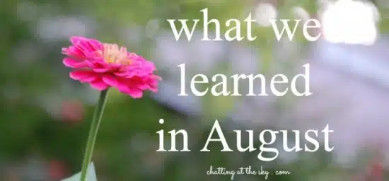 what-we-learned-in-august-700x326