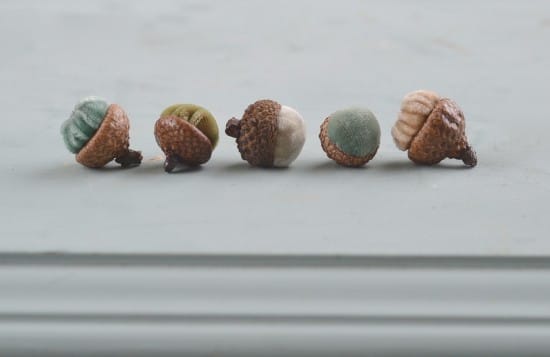 velvet acorns