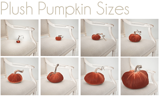 plush pumpkin sizes