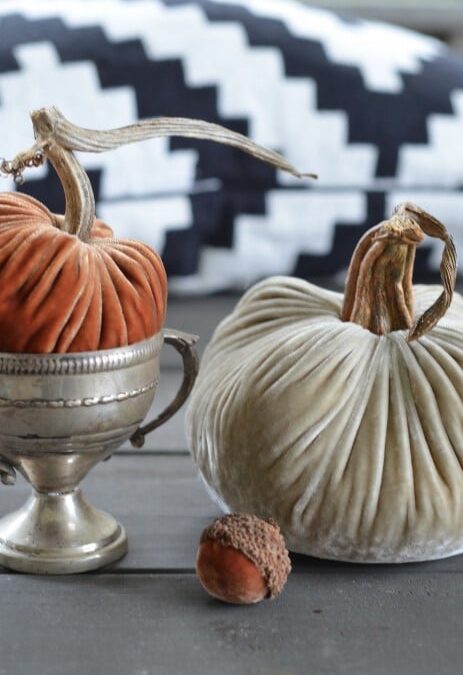 A Fall Giveaway :: Velvet Pumpkins CLOSED