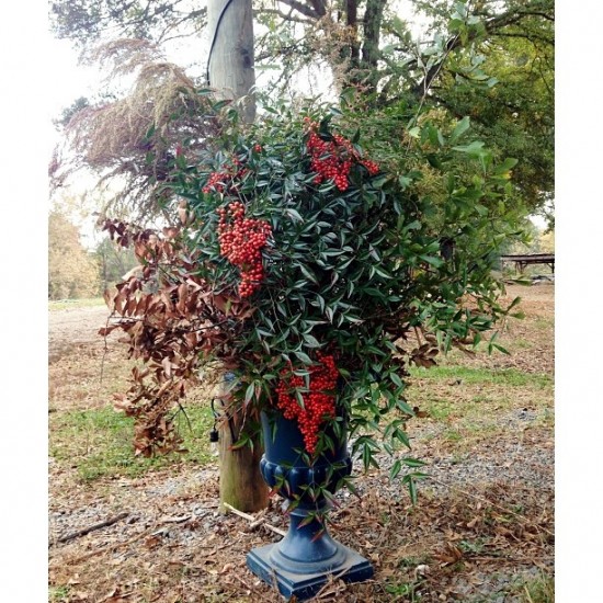 blue urn with fall branches