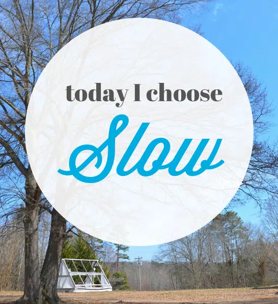 choose slow today