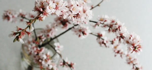 flowering-branch