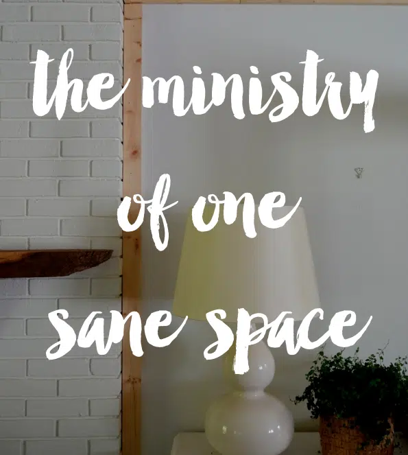 the ministry of one sane space