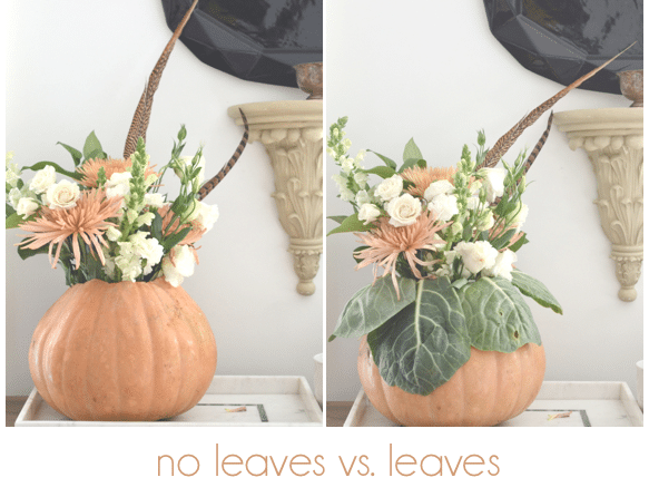 with and without leaves
