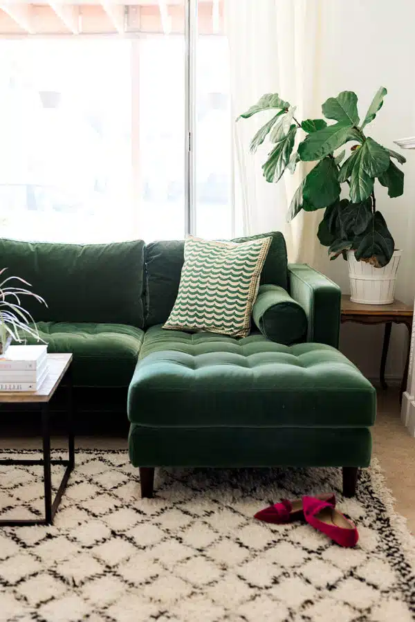 article-sofa-in-green-5